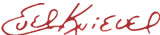 Evel Knievel Signature